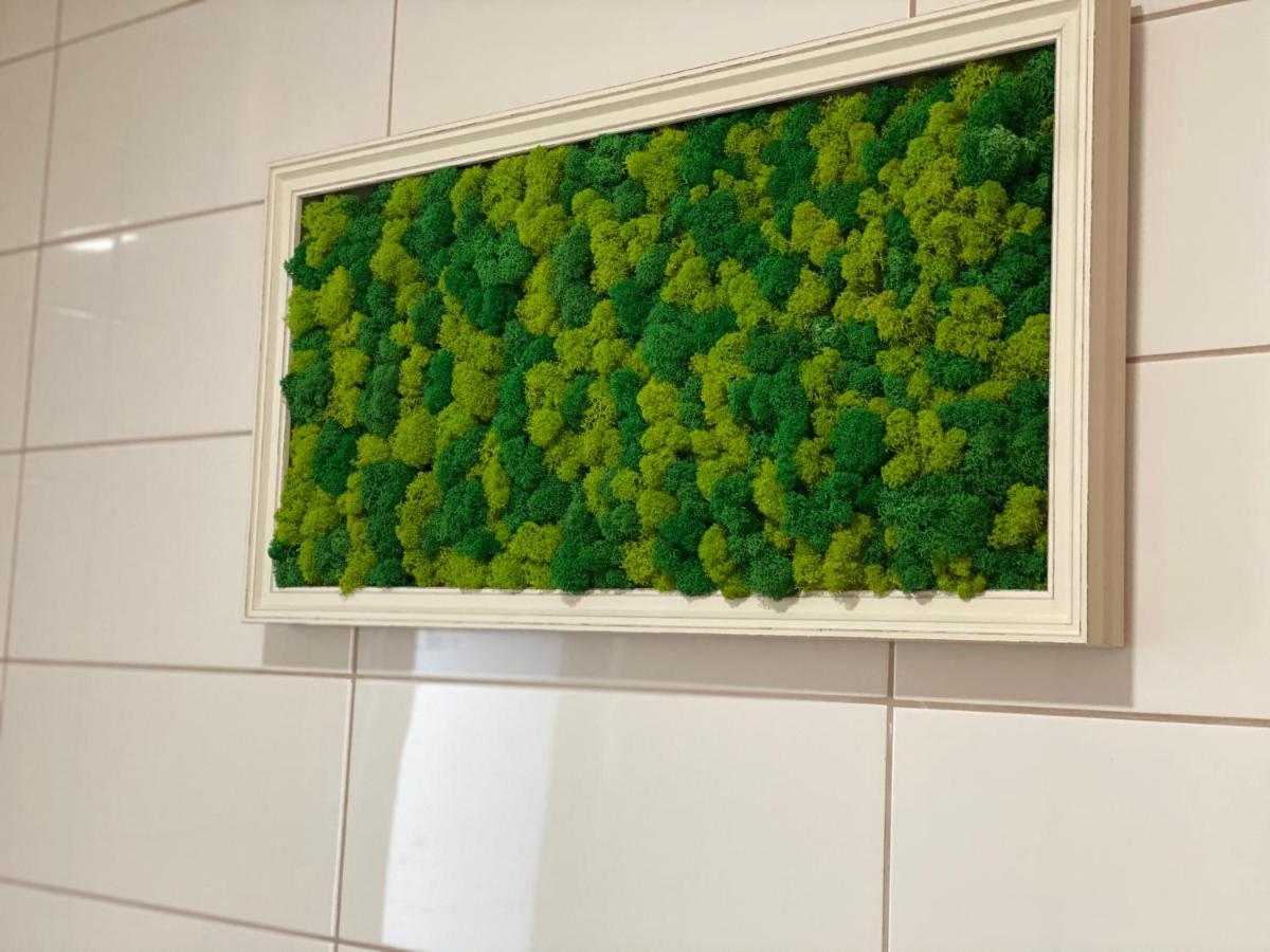 Stefanestii de Jos Green Deluxe Apartment Cosmopolis מראה חיצוני תמונה